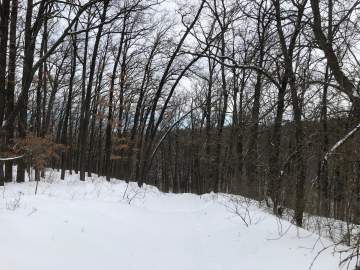 2 БПЛА уничтожено этой ночью над Липецкой областью - Минобороны!