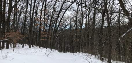 2 БПЛА уничтожено этой ночью над Липецкой областью - Минобороны!