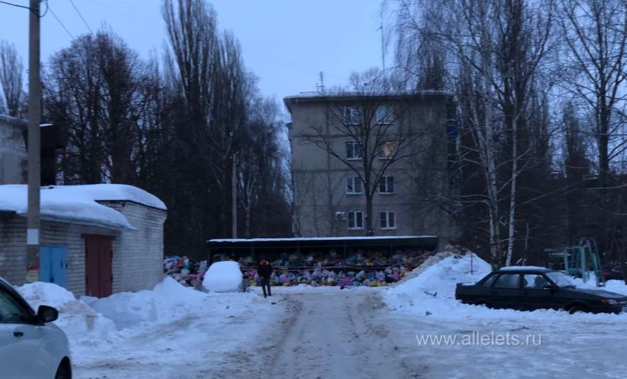 Жители Ельца требуют сменить регионального оператора по сбору мусора!