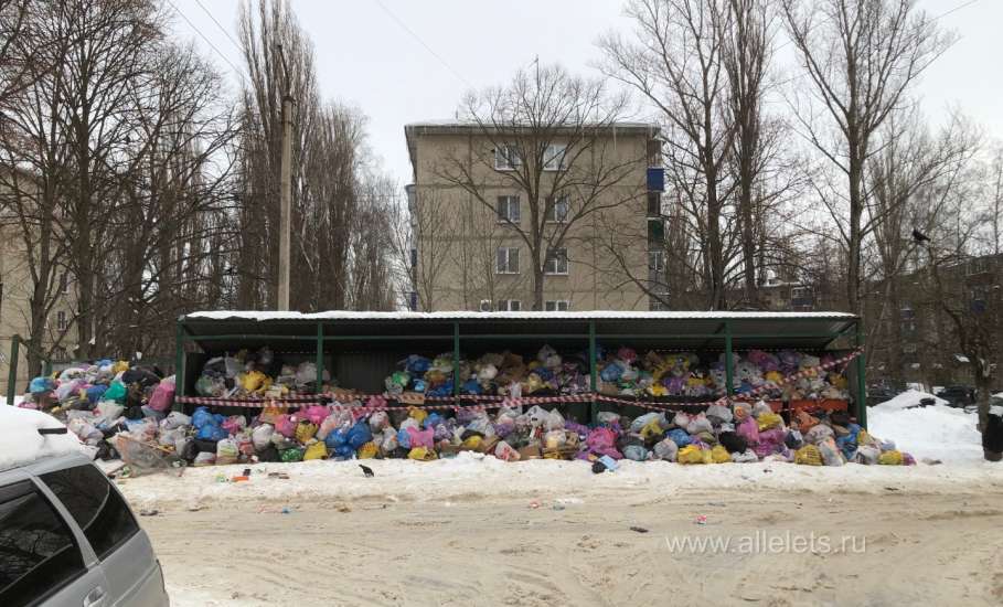 Жители Ельца требуют сменить регионального оператора по сбору мусора!