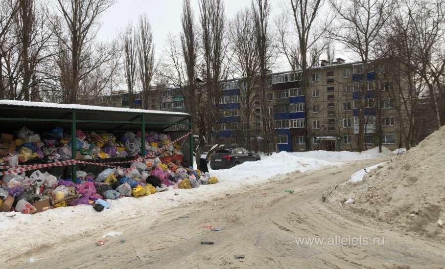 Жители Ельца требуют сменить регионального оператора по сбору мусора!