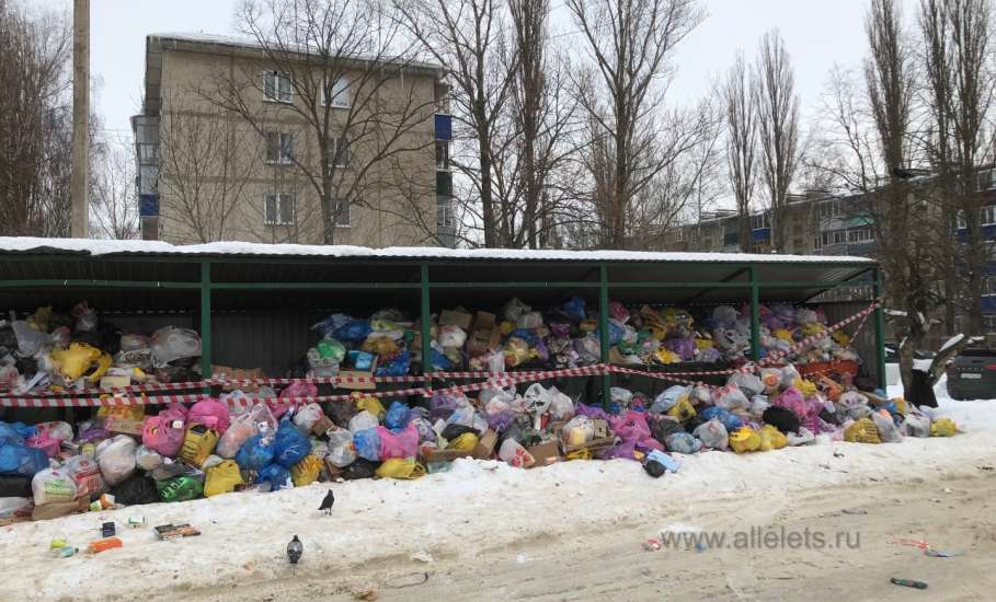 Жители Ельца требуют сменить регионального оператора по сбору мусора!