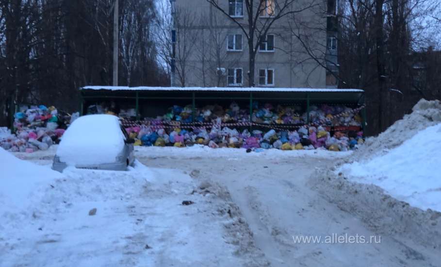 Жители Ельца требуют сменить регионального оператора по сбору мусора!