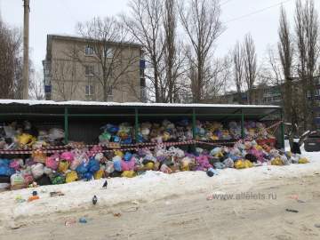 Жители Ельца требуют сменить регионального оператора по сбору мусора!