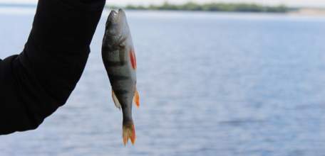 Под Липецком прошел открытый фестиваль рыболовного спорта