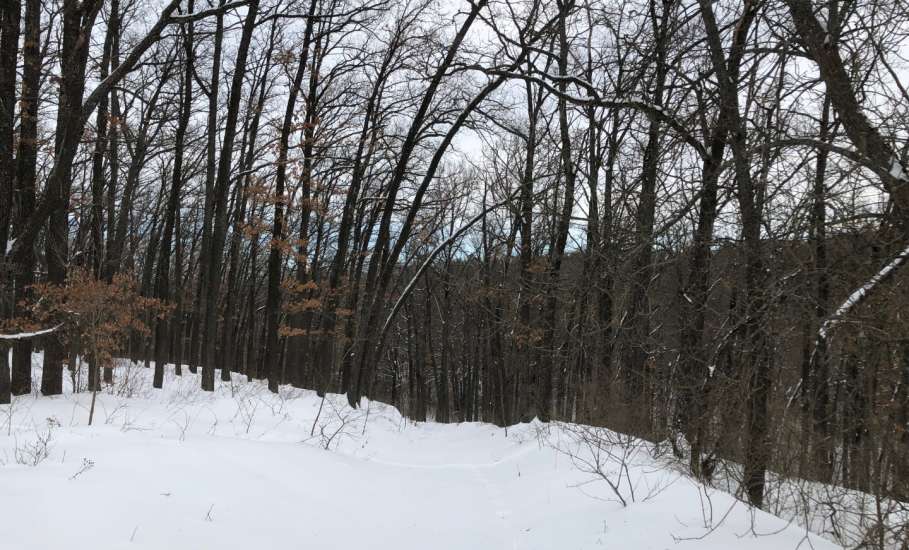 Отбой &laquo;Красного уровня-Угроза атаки БПЛА&raquo;