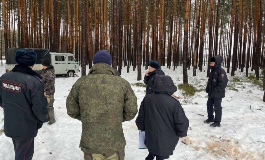 Лесная охрана нашла свежий пень: по следам волочения полицейские вышли к дому браконьера