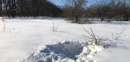 Житель Ельца приобрёл наркотик с использованием сети "Интернет" и получил судимость и значительный штраф!