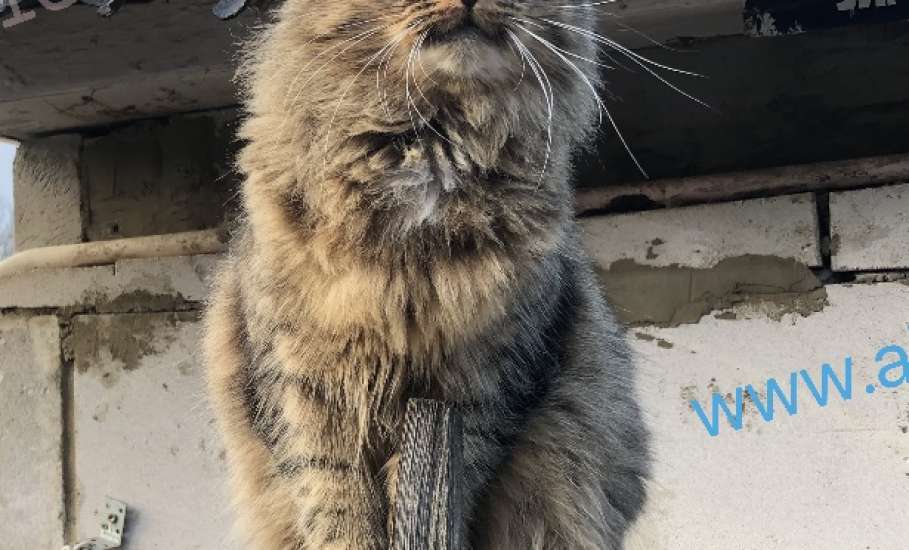 С первым днём весны!