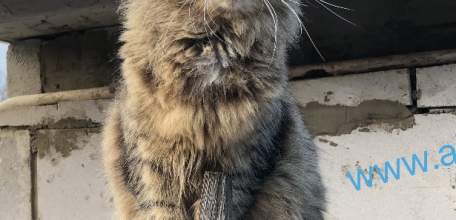 С первым днём весны!