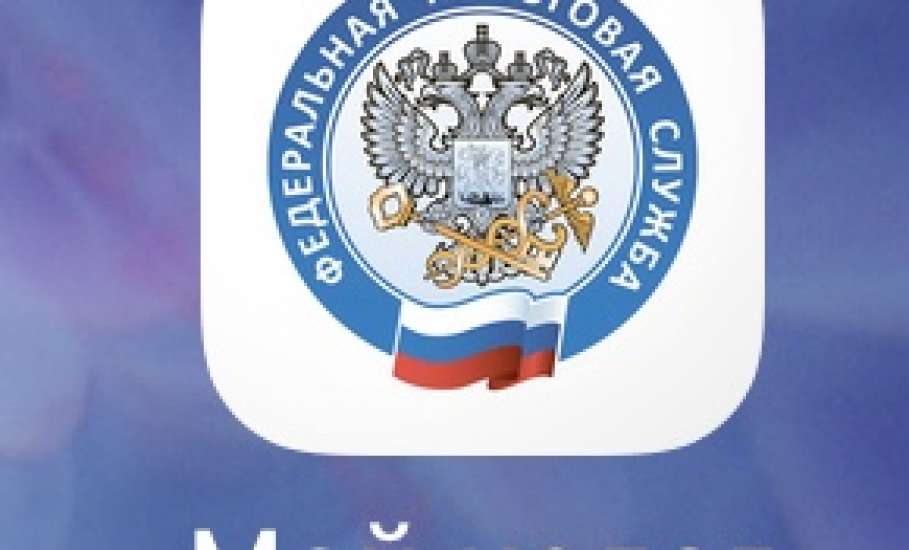 Приложение &laquo;Мой налог&raquo; висит 3 дня! Позорище!