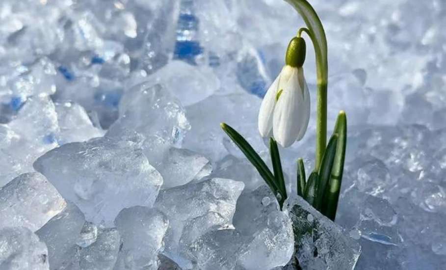 Приход весны в Липецкой области синоптики прогнозируют только в третьей декаде марта!