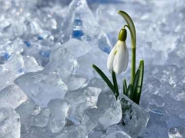 Приход весны в Липецкой области синоптики прогнозируют только в третьей декаде марта!