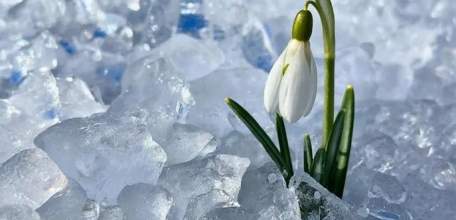 Приход весны в Липецкой области синоптики прогнозируют только в третьей декаде марта!