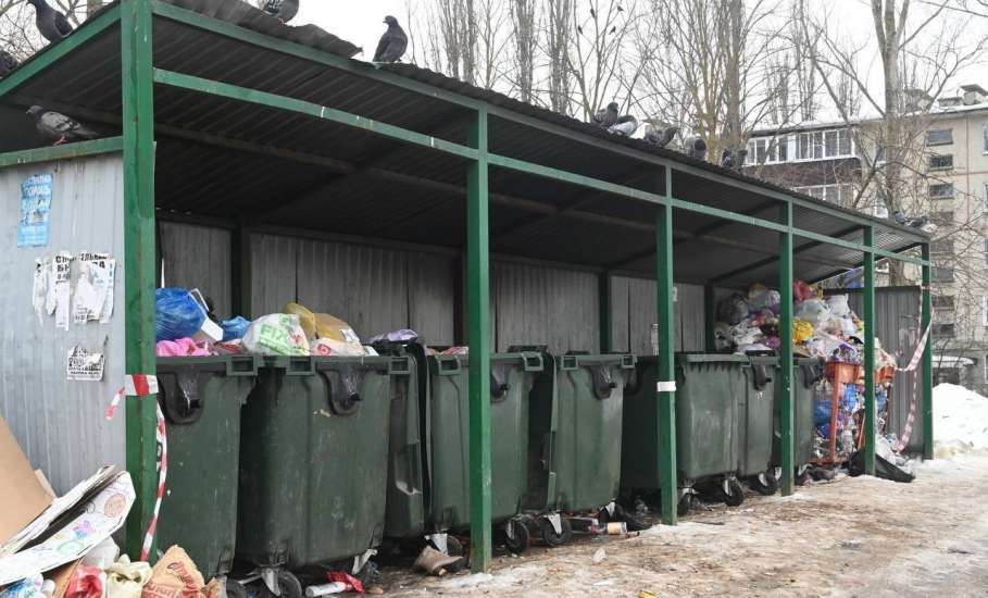 В последнее время участились жалобы жителей на некачественный и несвоевременный вывоз ТКО в городе Ельце