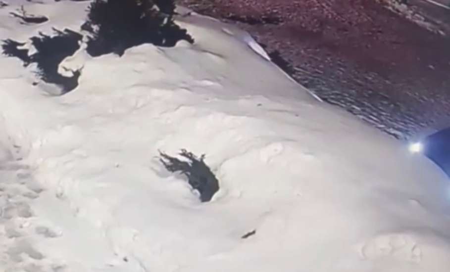 Вячеслав Жабин: &laquo;О тех, кому закон не писан&raquo;!