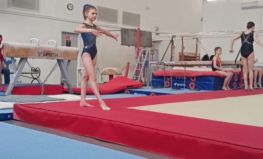 Гимнасты из Ельца отличились на соревнованиях в Липецке