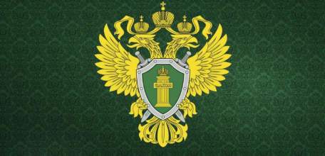 В Измалковском районе вынесен приговор главе КФХ за незаконное хранение огнестрельного оружия!