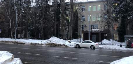 Весна &mdash; время новой жизни! За 2 месяца в Липецкой области родилось 1087 детей