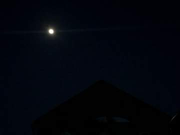 Только что! Звук дрона в небе и взрыв в Ельце!