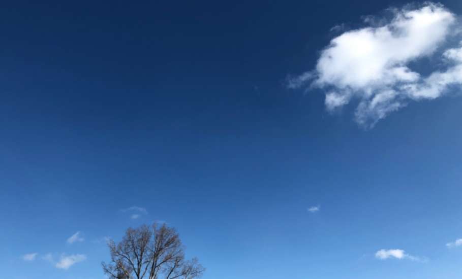 Вячеслав Жабин: &laquo;Специалисты обезвредили фрагменты БПЛА&ldquo;