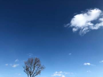 Вячеслав Жабин: &laquo;Специалисты обезвредили фрагменты БПЛА&ldquo;