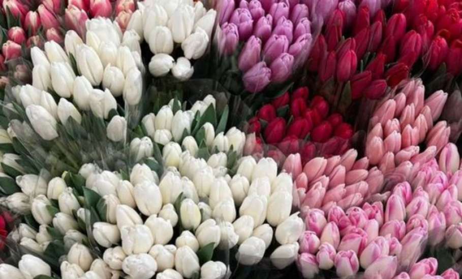 8 марта - Международный женский день! Поздравляем милых дам с праздником!