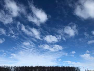 Минобороны РФ:  С 14 до 18 часов дежурными средствами ПВО над Липецкой областью перехвачен и уничтожен 1 БПЛА!