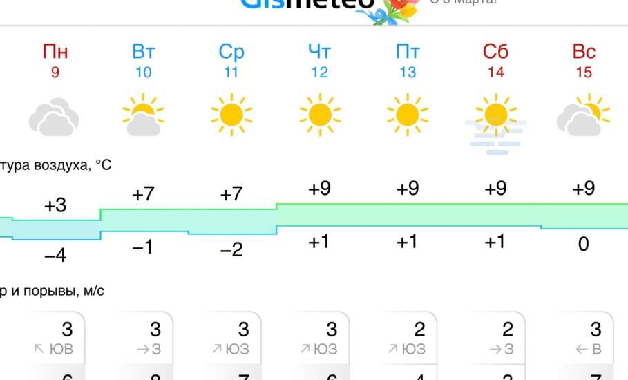 Прогноз погоды на следующую неделю в Ельце. Солнечно!