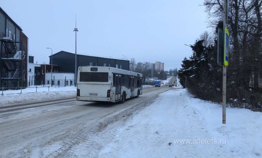 В Совфеде призвали стимулировать пожилых россиян работать после выхода на пенсию!