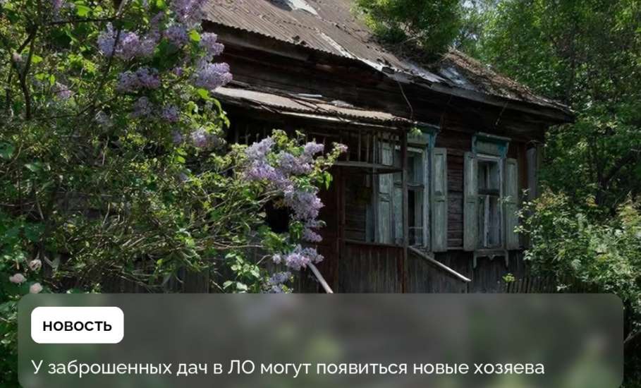 Заброшенные участки в СНТ могут обрести новых хозяев