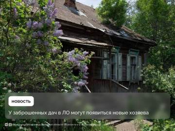 Заброшенные участки в СНТ могут обрести новых хозяев