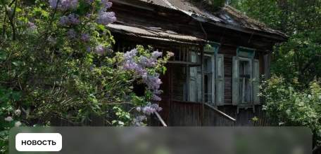 Заброшенные участки в СНТ могут обрести новых хозяев