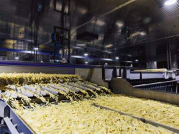 Практически весь замороженный картофель страны производится в Липецкой области