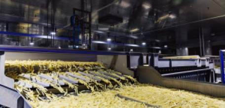 Практически весь замороженный картофель страны производится в Липецкой области