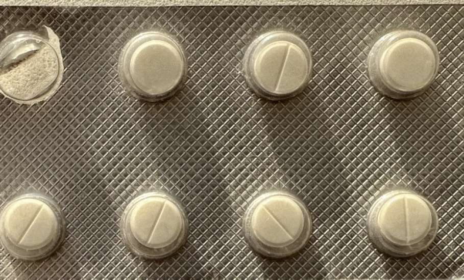 Мультипу и дворняга наелись таблеток у мусорки в Ельце