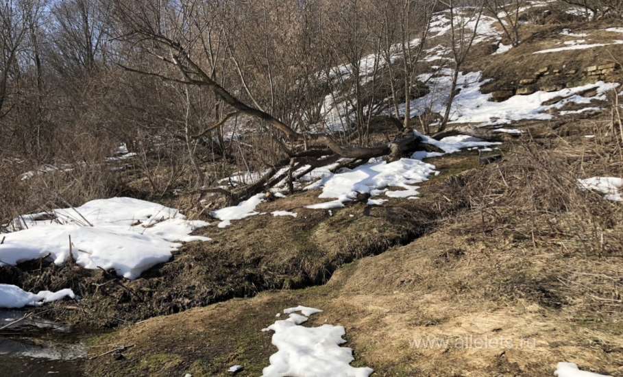 Вода на реке Сосна не поднялась вообще