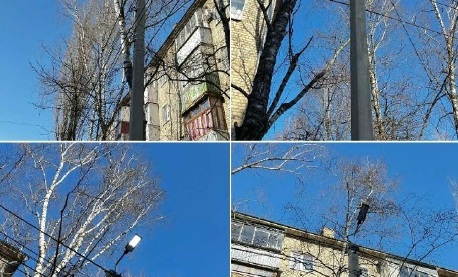 При новом мэре Ельца в городе стала видна работа!