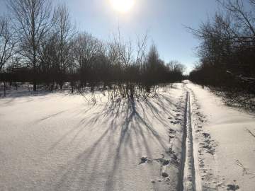 В Липецкой области бывший министр физкультуры и спорта подозревается в мошенничестве в особо крупном размере!