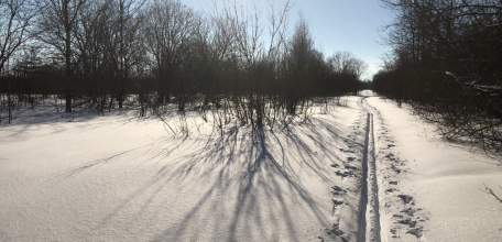 В Липецкой области бывший министр физкультуры и спорта подозревается в мошенничестве в особо крупном размере!