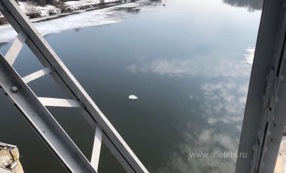 На 19 марта 2026 года половодки в Ельце нет на реке Быстрая Сосна!