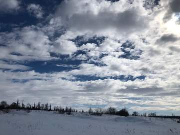 СТРЕЛЬБА В ЧАПЛЫГИНСКОМ РАЙОНЕ: ЕСТЬ ПОГИБШИЙ!