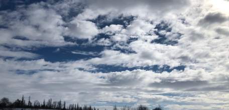 СТРЕЛЬБА В ЧАПЛЫГИНСКОМ РАЙОНЕ: ЕСТЬ ПОГИБШИЙ!