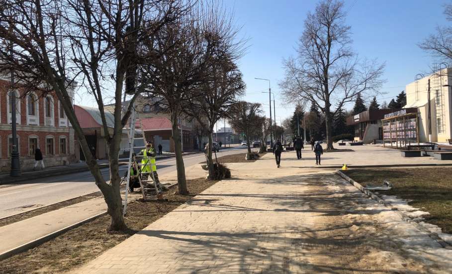 Сегодня в Ельце начали производить своевременную опиловку деревьев.