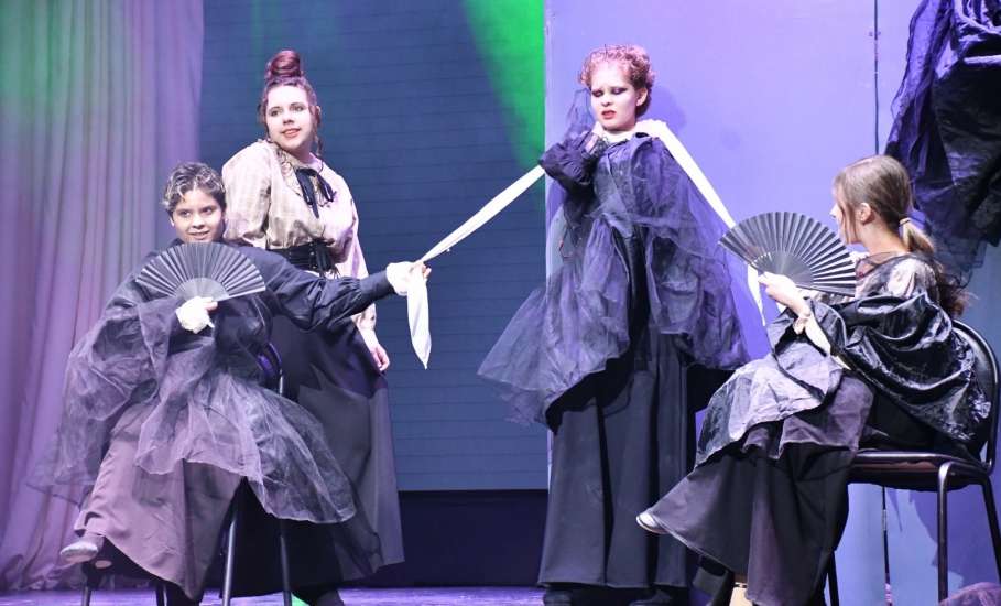 20 марта в Доме культуры села Казаки состоялся фестиваль-конкурс самодеятельных театральных коллективов &laquo;Театральные встречи в провинции 2026&raquo;