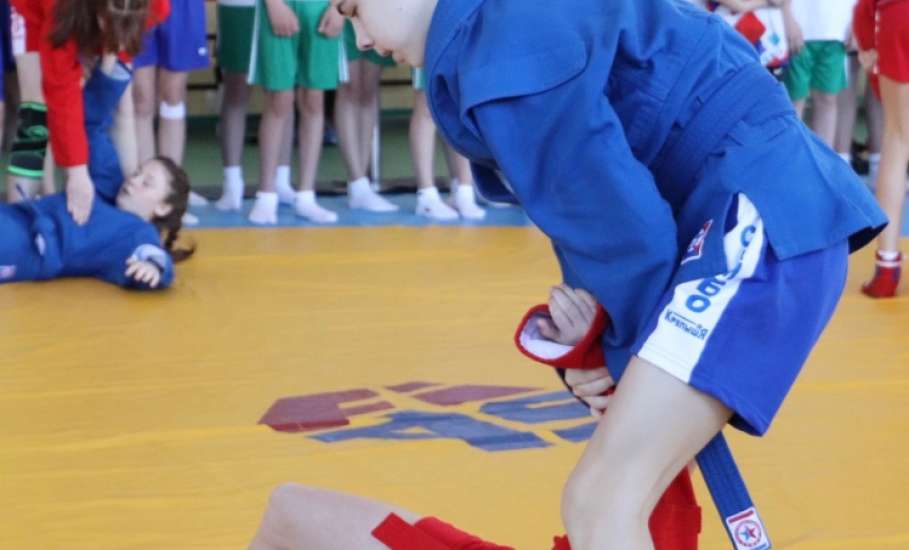 В МАУ &laquo;Школа Елецкой борьбы&raquo; состоялся фестиваль &laquo;Самбо в школу!&raquo;