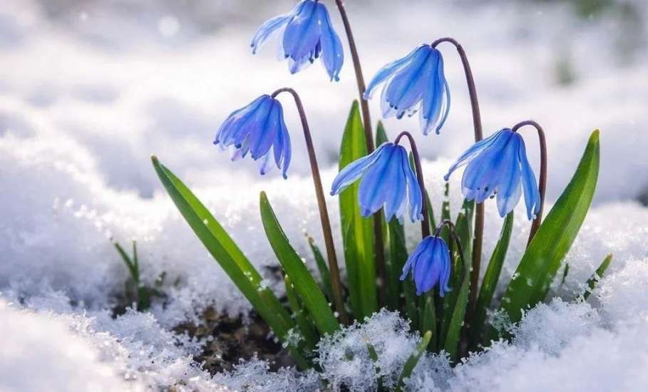 Красивые. Но из-за них можно попасть в тюрьму на 9 лет!