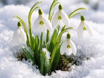 Красивые. Но из-за них можно попасть в тюрьму на 9 лет!