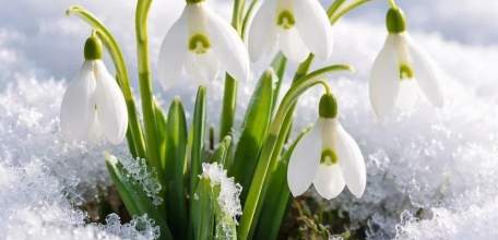 Красивые. Но из-за них можно попасть в тюрьму на 9 лет!