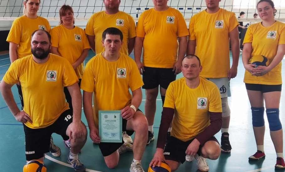 Завершились зональные соревнования по волейболу областной Спартакиады работников организаций сферы образования Липецкой области